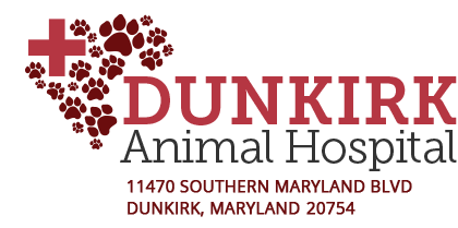 Veterinarians Dunkirk | Dunkirk Animal Hospital