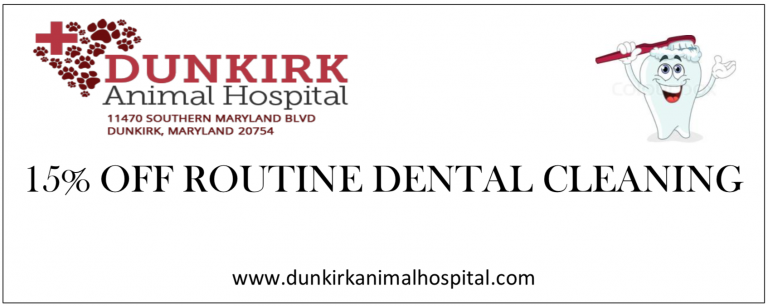 Our Specials – Veterinarians Dunkirk | Dunkirk Animal Hospital